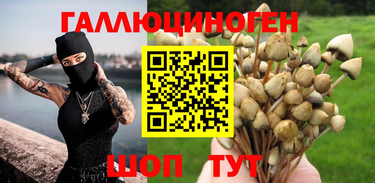 Галлюциногенные грибы Psilocybine cubensis  Псилоцибиновые грибы прущие грибы  Вход с VPN  Канаш 